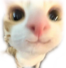 33 33