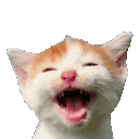 :CIcathaha: