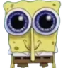 spoonge spoonge
