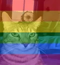 LGBTQponder