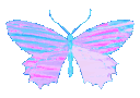 Butterfly animated Discord emote - Μ Λ Υ V Ι L L Ξ🌿