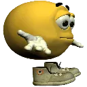 Picardia_Shrug