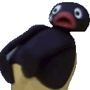 pingu_butthurt Discord emoji