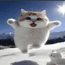 cattt cattt