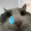 Wisob