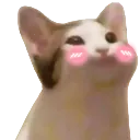 cat_smile_blush