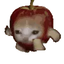 Applecat