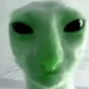 d_gatoalien