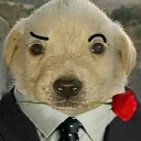 d_fino Discord emoji