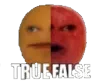 trueorfalse