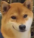 smirk_dog