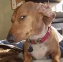 sideeye