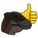 2DeinoHappy