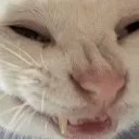 huehuehue