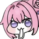 dorogasp