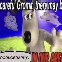carefulgromit