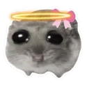 BinLiebi