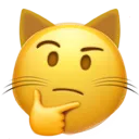 thinkingcat thinkingcat