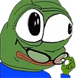 pepewtfdidijustsee