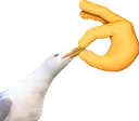 shut
