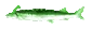 Jlorp