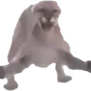 atakeloli atakeloli