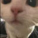3_