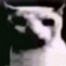 UncannyCat