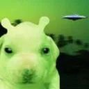 perroalien perroalien