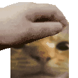 :patthecatpolice: