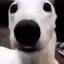 scared