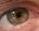 :eyesee: