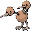 doduo