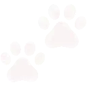 006paw2