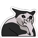 CatShook