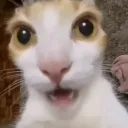 cathuh