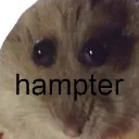 Hampter