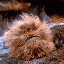 fizzgig