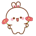 TujiFlowerDance