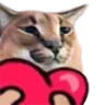 Floppalove