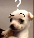 waos_huh