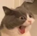 melvin_yawn