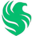 TeamFalcons