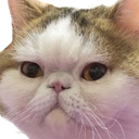 catangry custom emote from Phasmophobia Germany