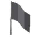 silver_flag