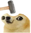 doge_bonk