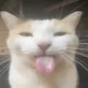 bleh