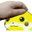 PikaPat