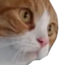 wot