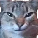 evilhuevo evilhuevo
